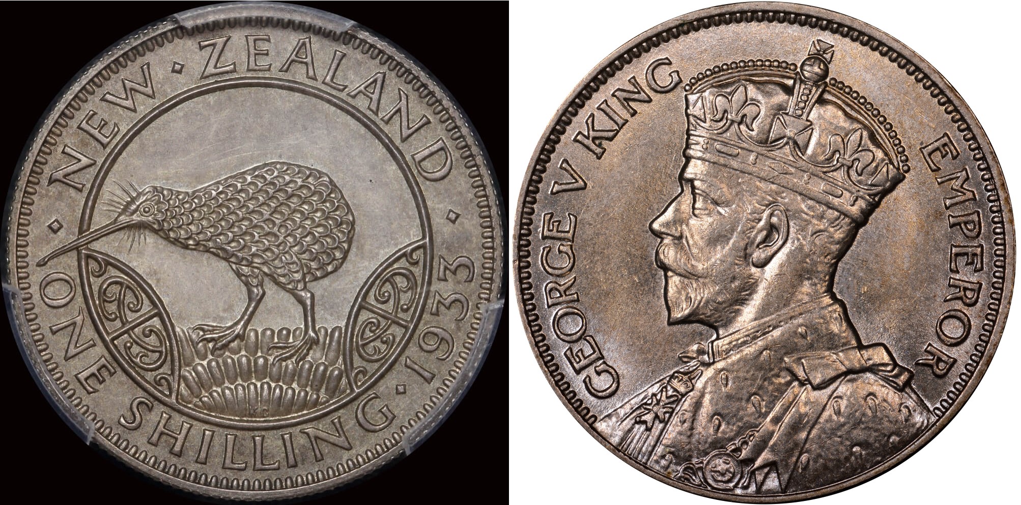 کیوی روی سکه دلار نیوزلند.jpg